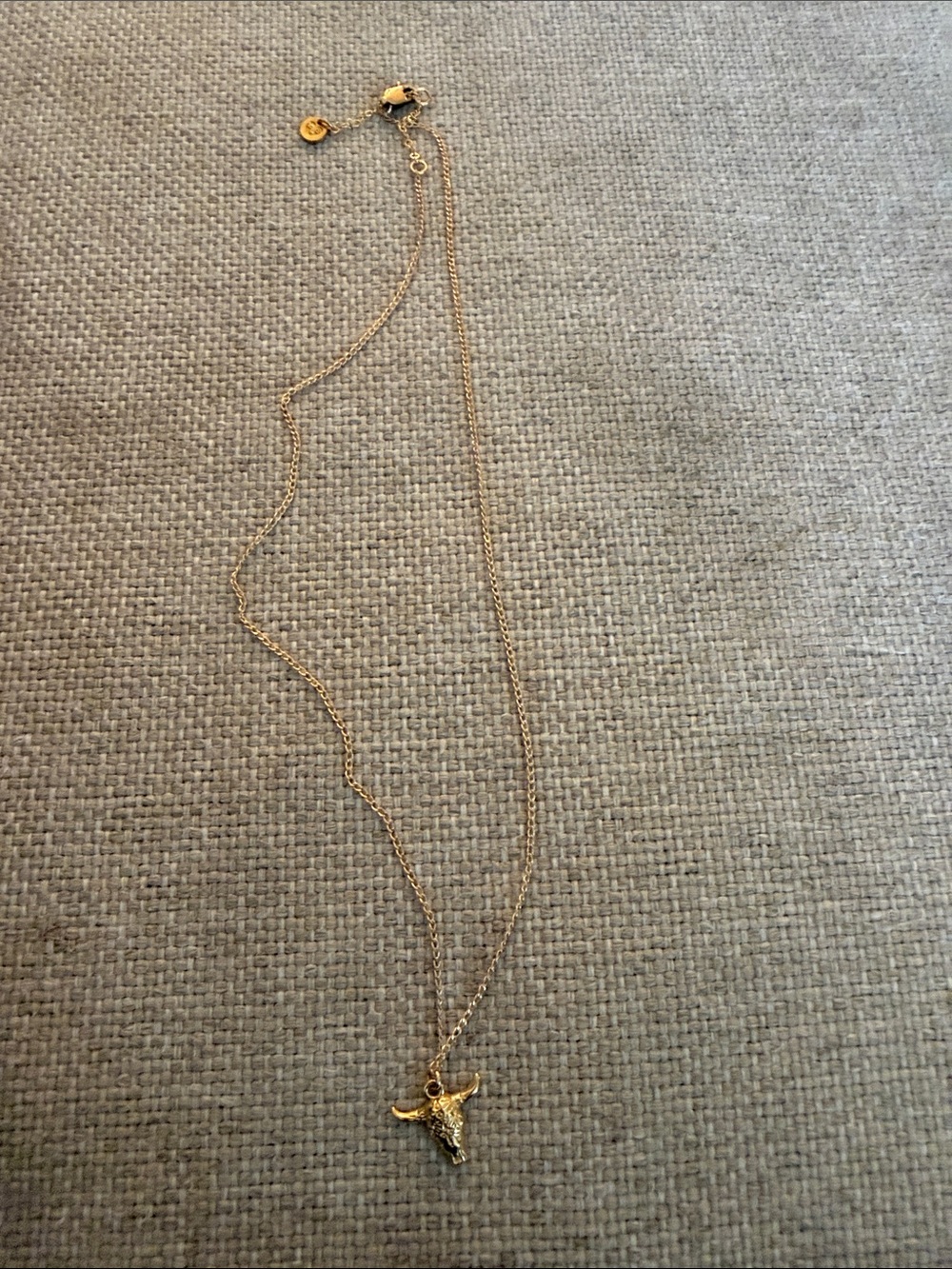 Gold Longhorn Pendant Necklace - Women Jewelry